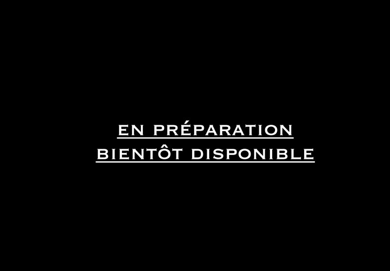 AUDI A6 C6 2008. Le programme de partenariat Auto Dakar Enterprise développe des relations privilégiées avec les entreprises clientes à travers des services sur mesure. Ces collaborations stratégiques incluent la gestion complète de flottes, la formation des conducteurs et l'optimisation des coûts de transport.